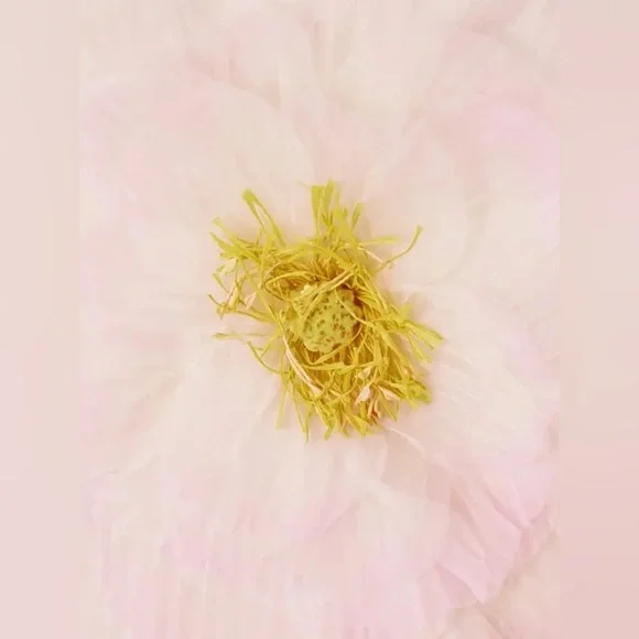 SOLD!!! - Picture 12 of 16